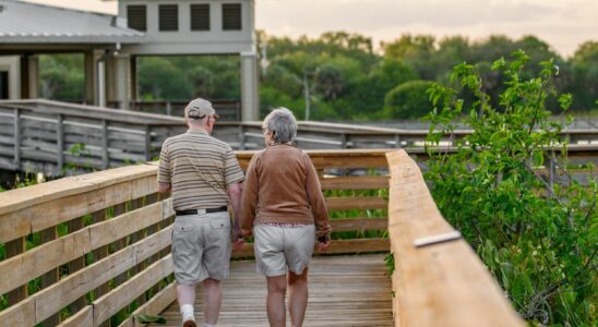 a couple of people that are walking on a bridge